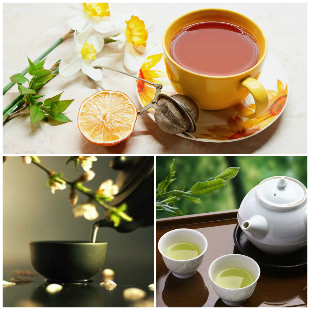 Напитки из цветов