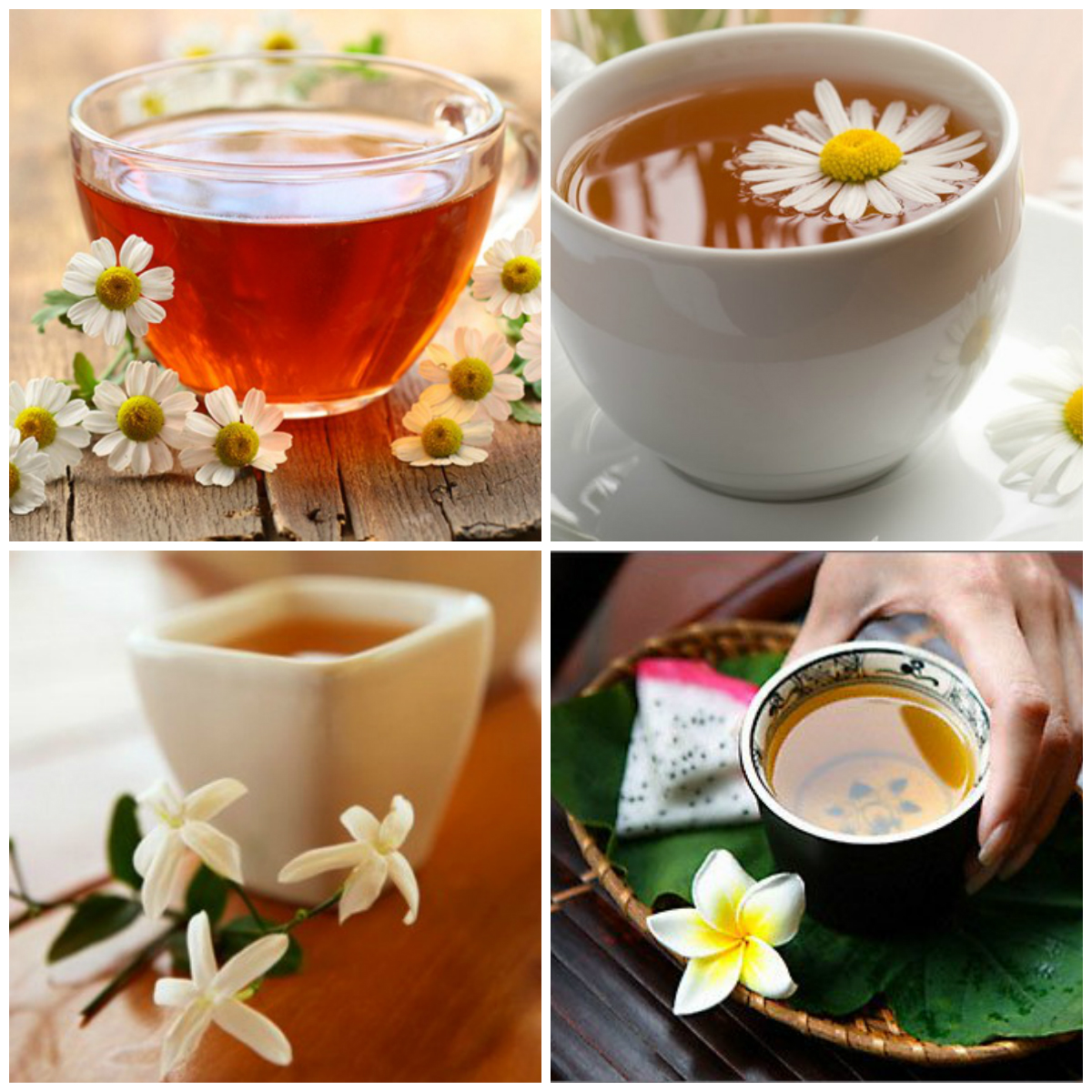 Напитки из цветов