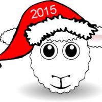 Новый год 2015: как встретить, что надеть, что приготовить