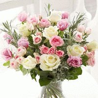 Обзор самых популярных  разделов июля на Флора2000.ру
