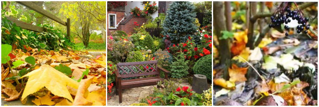 Осенние сады и роскошные кустарники