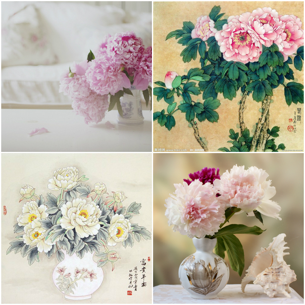 Роскошные пионы