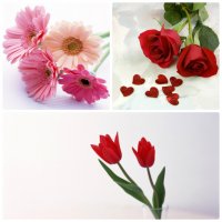Почему иностранцы дарят четное количество цветов?