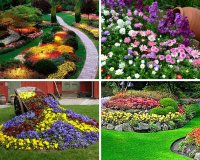 Роскошные клумбы: цветы, которые цветут с весны до осени