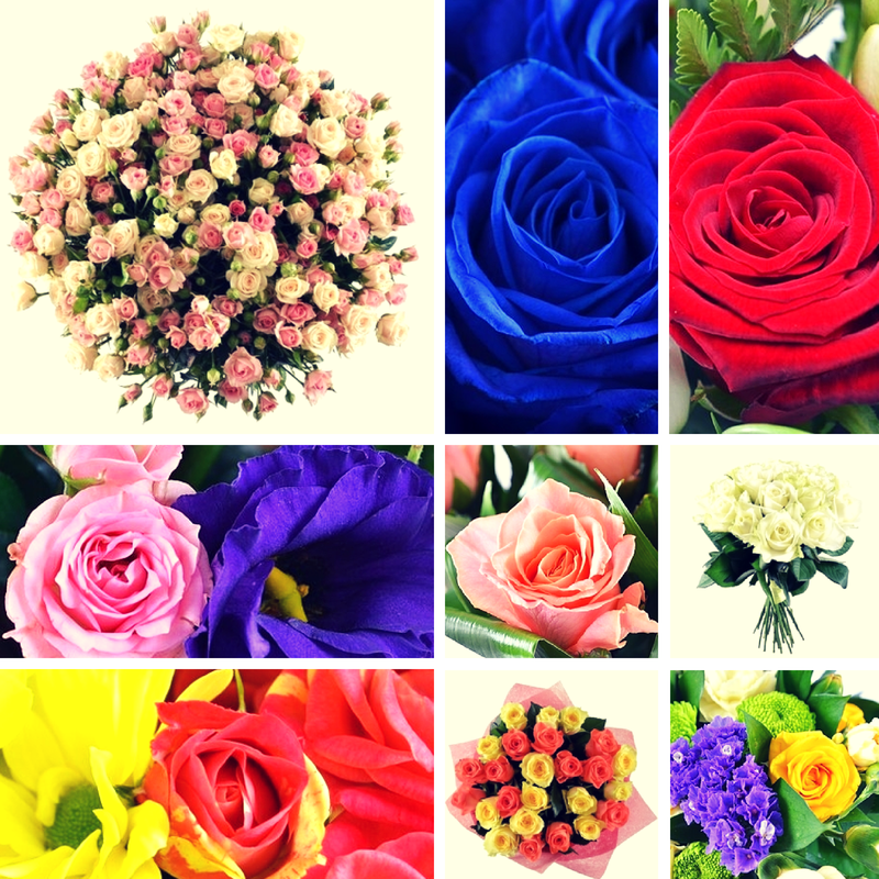 Когда розы - плохой подарок Когда розы - плохой подарок