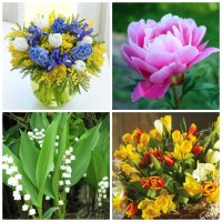 Самые ароматные цветы в мире