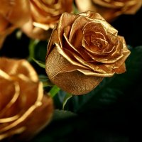 Самые дорогие цветы