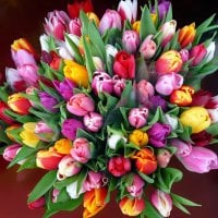 Самые красивые букеты мира