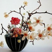 Совершенство жизни в икебане