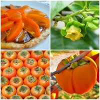 Такая полезная хурма