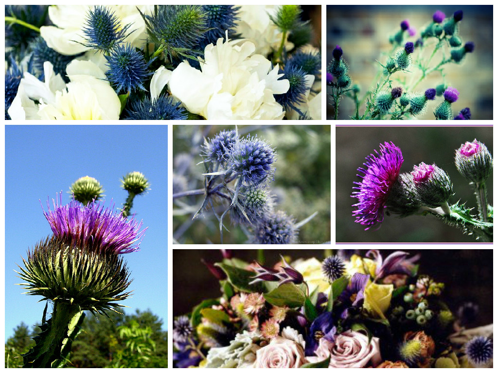 bouquets with thistle bouquets with thistle