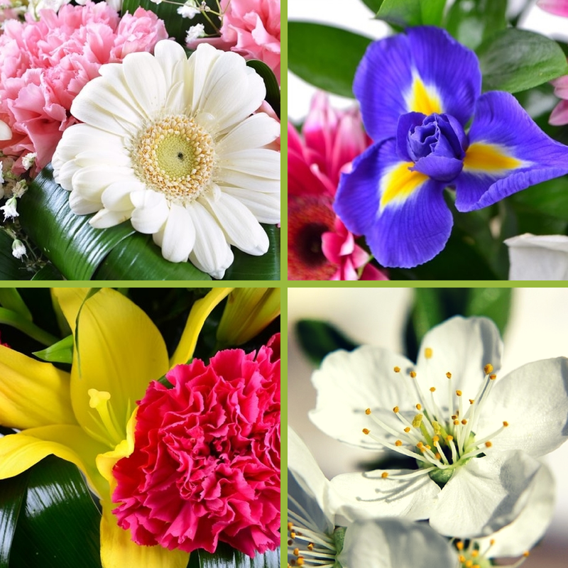 Цветы и романтика: свежий взгляд на классику Цветы и романтика: свежий взгляд на классику