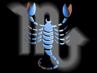 Цветы по знаку зодиака: Скорпион