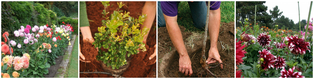 Уход за садом осенью – советы от UFL