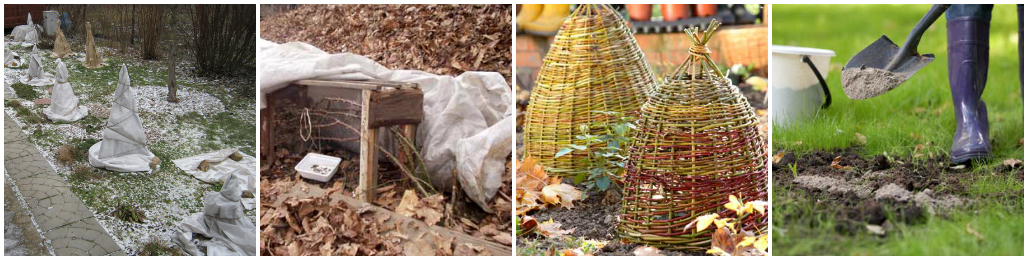 Уход за садом осенью – советы от UFL