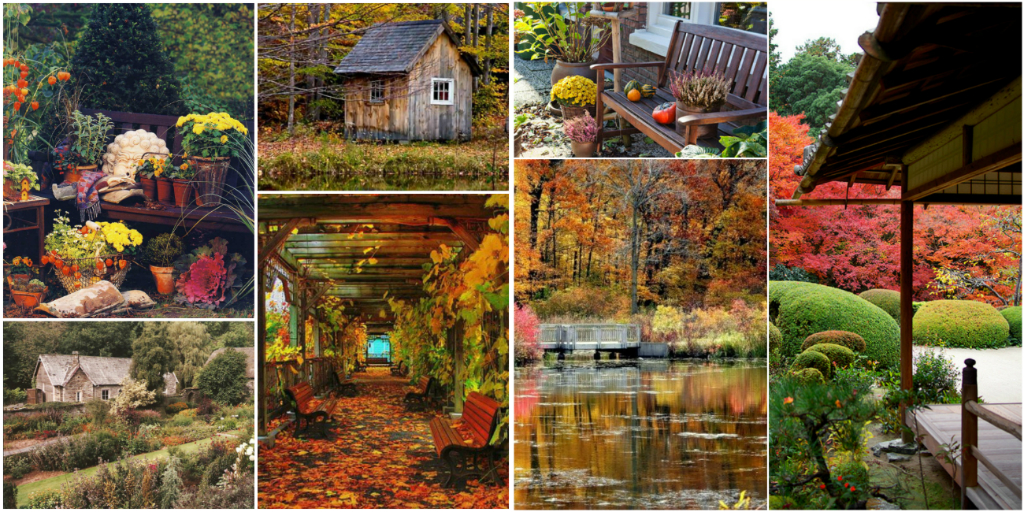 Уход за садом осенью – советы от UFL