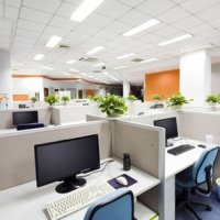 Украшаем рабочее место: узнайте, какие цветы подходят для офиса