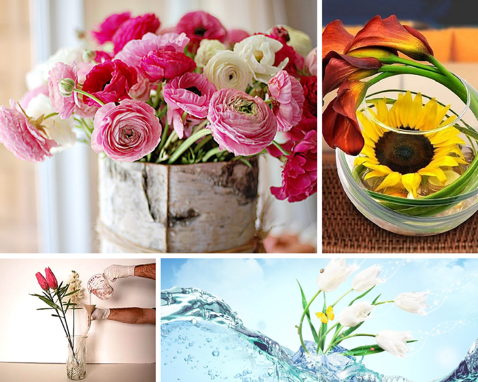 В какую воду ставить цветы?