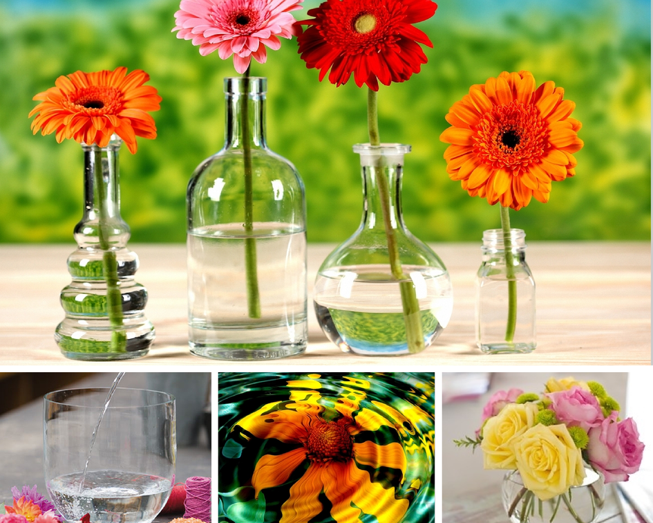 В какую воду ставить цветы?