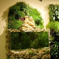 Вертикальные сады - рукотворное чудо