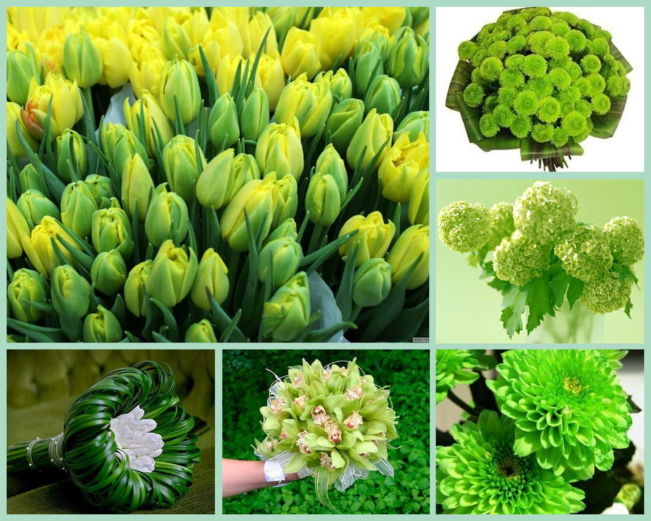 Зеленый букет: оригинально или скучно?