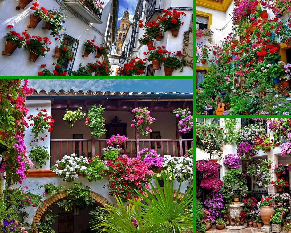 Цветочный фестиваль в Кордове, Испания