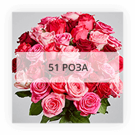51 роза по Николаеву