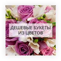 Дешевые цветы в Флориде