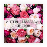 Интернет магазин цветов в Флориде