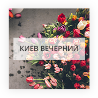 Киев вечерний Флорида