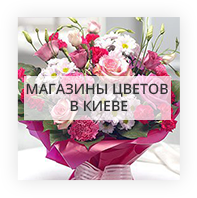 Магазины цветов в Флориде