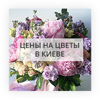 Цены на цветы в Флориде