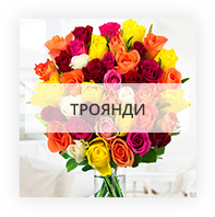 Троянди у Прилукам