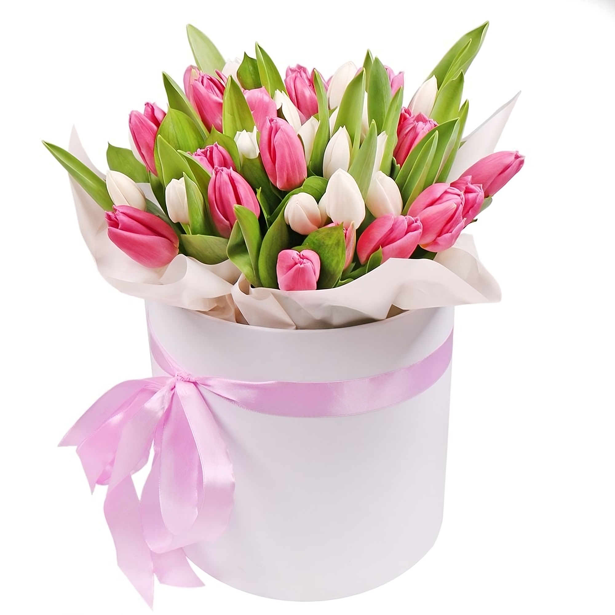 Pink and white tulips in a box 35 pcs, Samarkand